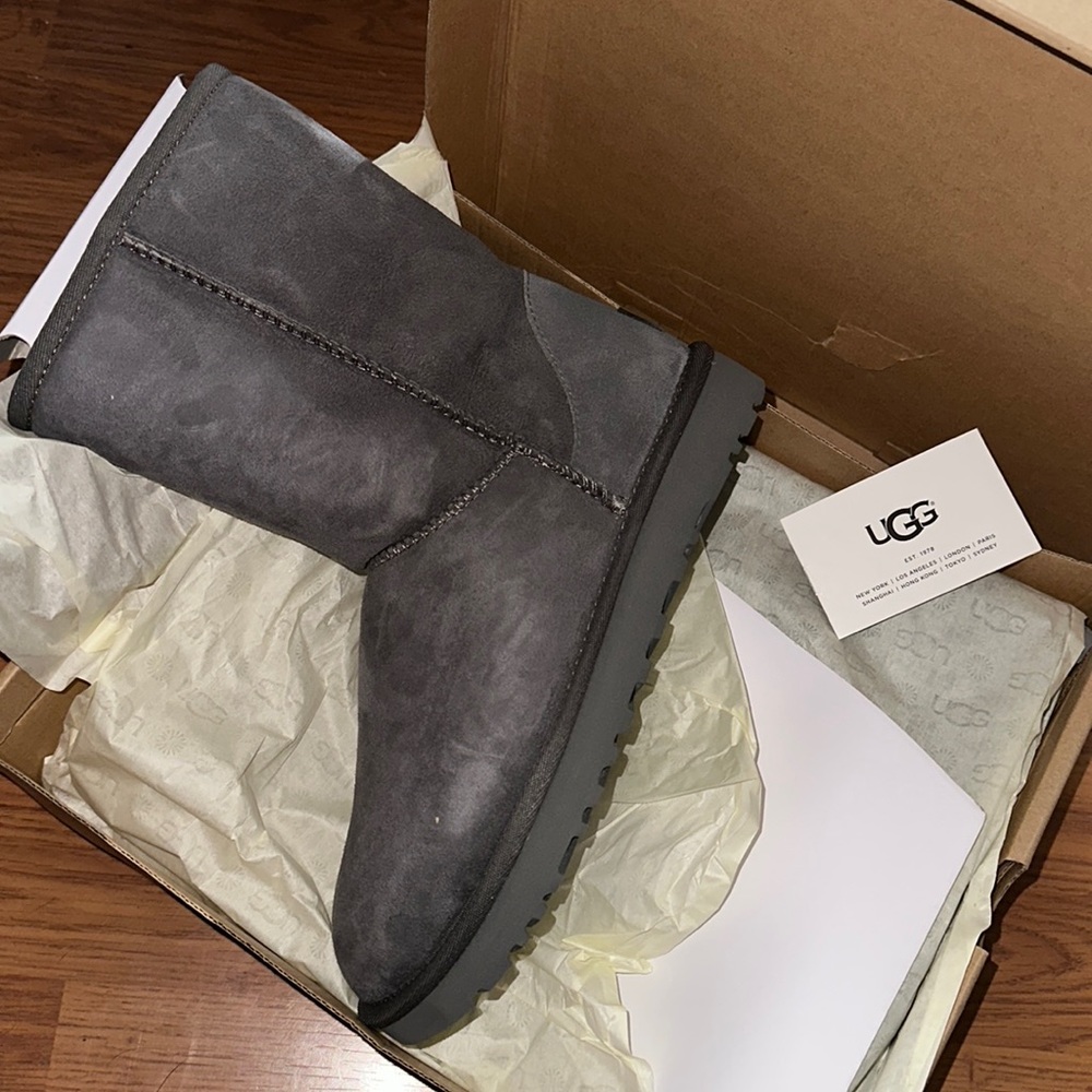 Brand New Gray Uggs